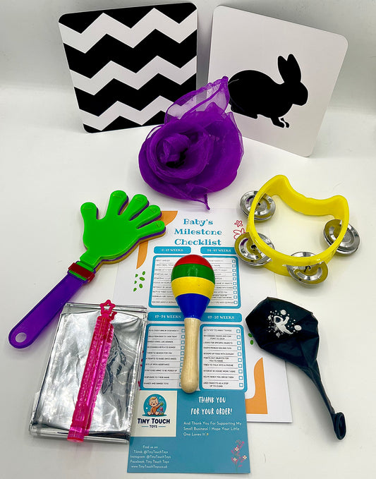 The Ultimate Baby Sensory and Development Box (10 Items)